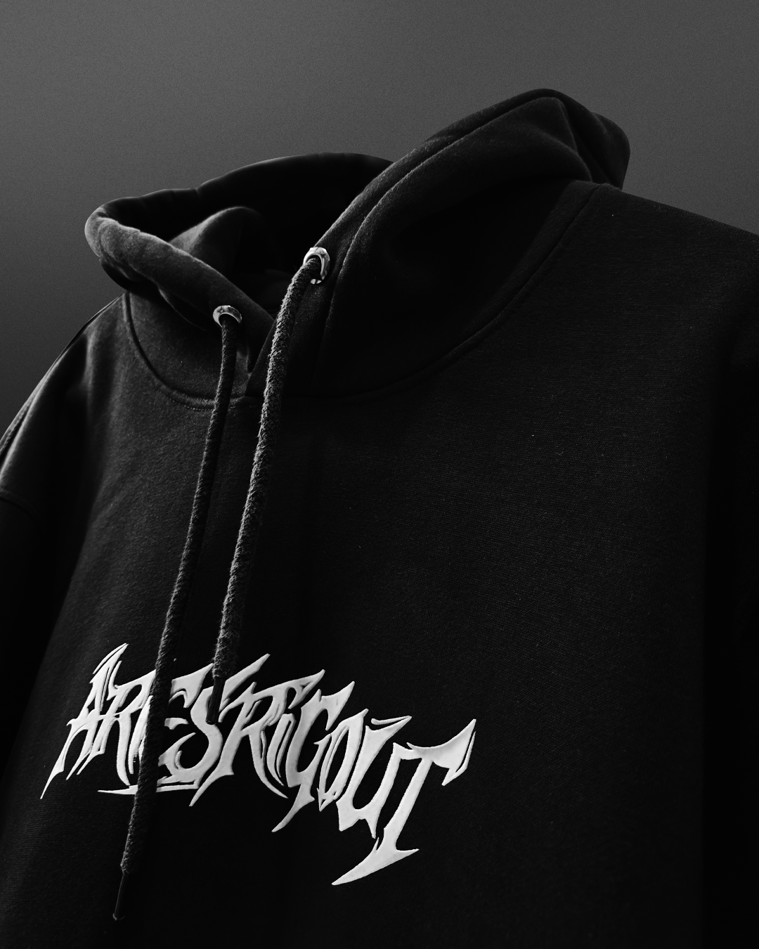 Ariesrigout Hoodie 350GSM Premium Hoodie
