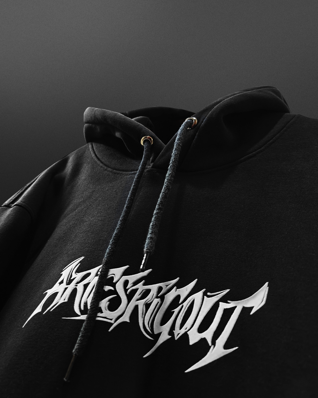 Ariesrigout Hoodie 350GSM Premium Hoodie